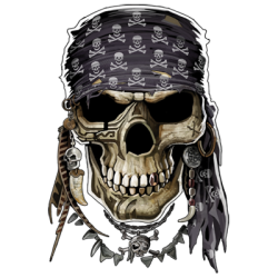 Pirate Skull T-Shirt