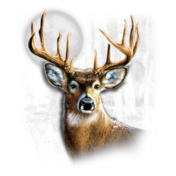 Whitetail Wilderness (Darks Only) T-Shirt