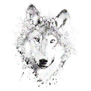 Neon Wolf T-Shirt