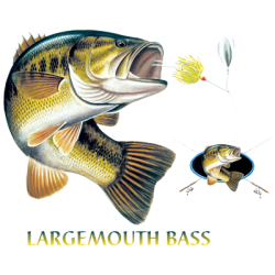Largemouth Bass Combination W/Crest T-Shirt