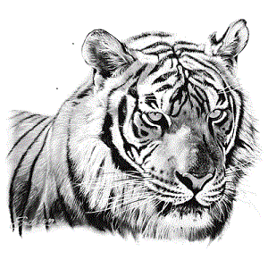 Tiger Head Portrait T-Shirt