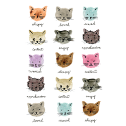 Moody Cats T-Shirt