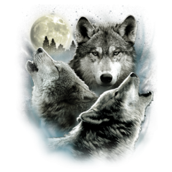 Three Wolves T-Shirt