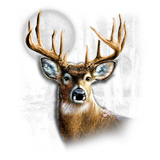 Whitetail Wilderness (Darks Only) T-Shirt