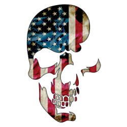 Skull Americana T-Shirt