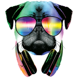 DJ PUG - T Shirt